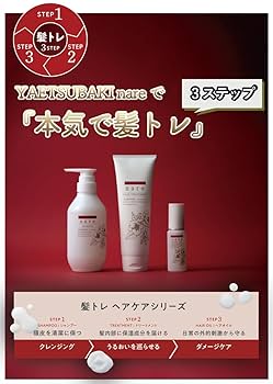 トリートメント *chiaki* 楽天市場】酸熱トリートメント ヘアトリートメント 洗い流す